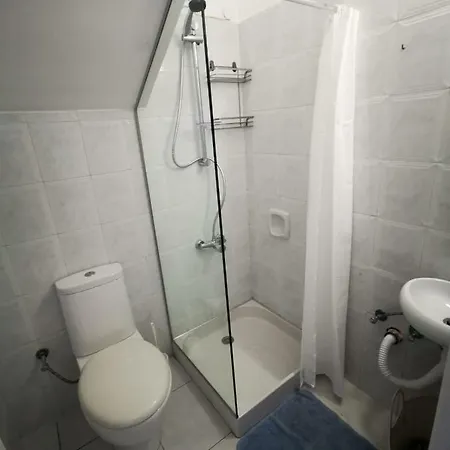 King Alexander 22 펜션 파포스